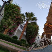 фото из отзыва ID 2077944