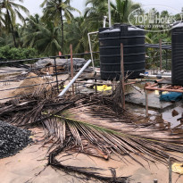 фото из отзыва ID 2077950