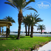 фото из отзыва ID 2078015