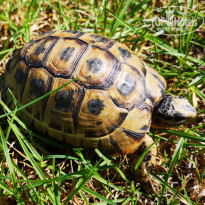 фото из отзыва ID 2078015