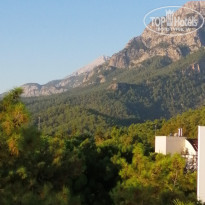 фото из отзыва ID 2078051