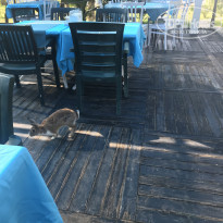 фото из отзыва ID 2078077