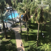 фото из отзыва ID 2078077