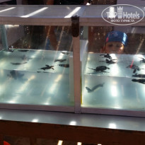 фото из отзыва ID 2078132