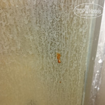 фото из отзыва ID 2078127