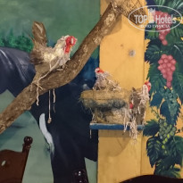 фото из отзыва ID 2078127