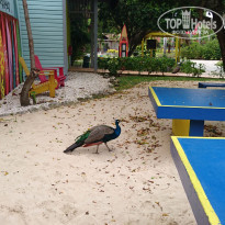 фото из отзыва ID 2078127