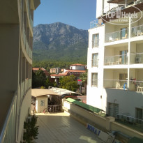 фото из отзыва ID 2078217