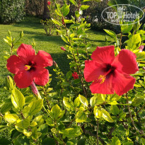 фото из отзыва ID 2078236