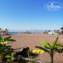 фото из отзыва ID 2078319