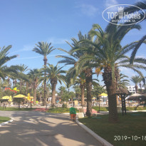 фото из отзыва ID 2078340