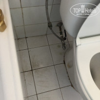 фото из отзыва ID 2078384