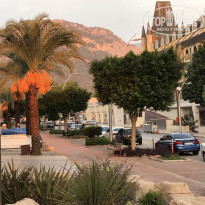 фото из отзыва ID 2078408