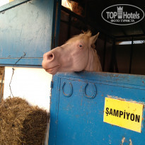 фото из отзыва ID 2078486