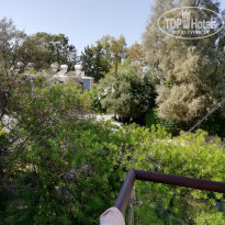 фото из отзыва ID 2078580