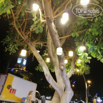 фото из отзыва ID 2078641