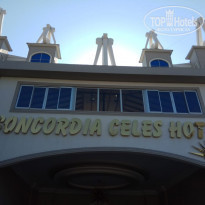 фото из отзыва ID 2078546