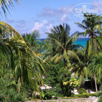 фото из отзыва ID 2078595