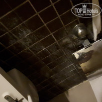 фото из отзыва ID 2078727