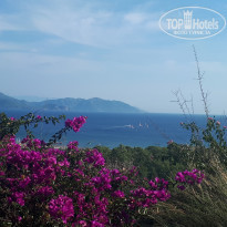 фото из отзыва ID 2078727