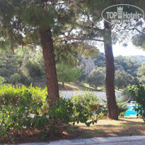 фото из отзыва ID 2078727