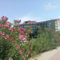 фото из отзыва ID 2078698