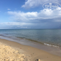 фото из отзыва ID 2078758