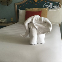 фото из отзыва ID 2078772