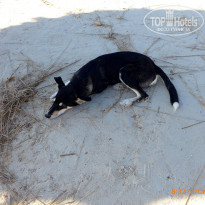 фото из отзыва ID 2078729