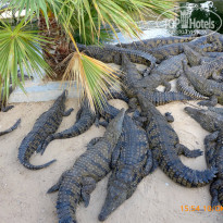 фото из отзыва ID 2078729