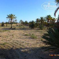 фото из отзыва ID 2078729