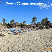 фото из отзыва ID 2078729