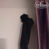 фото из отзыва ID 2078893