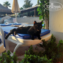 фото из отзыва ID 2078917