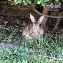 фото из отзыва ID 2078922