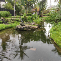 фото из отзыва ID 2079019