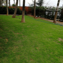 фото из отзыва ID 2079102