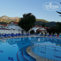 фото из отзыва ID 2079164