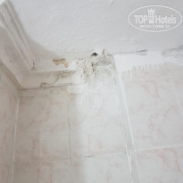 фото из отзыва ID 2079245