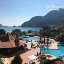 фото из отзыва ID 2079390