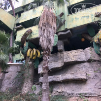 фото из отзыва ID 2079388