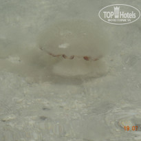 фото из отзыва ID 2079479