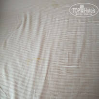 фото из отзыва ID 2079509