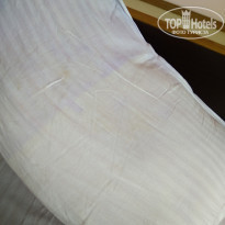 фото из отзыва ID 2079509