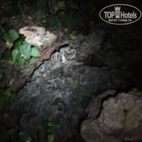 фото из отзыва ID 2079278