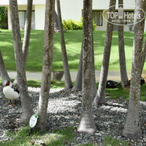 фото из отзыва ID 2079531