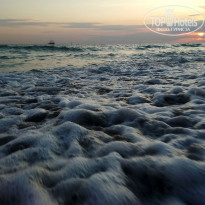фото из отзыва ID 2079518