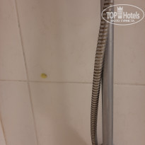 фото из отзыва ID 2079668