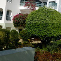 фото из отзыва ID 2079694