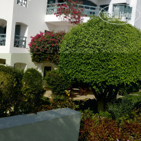 фото из отзыва ID 2079694